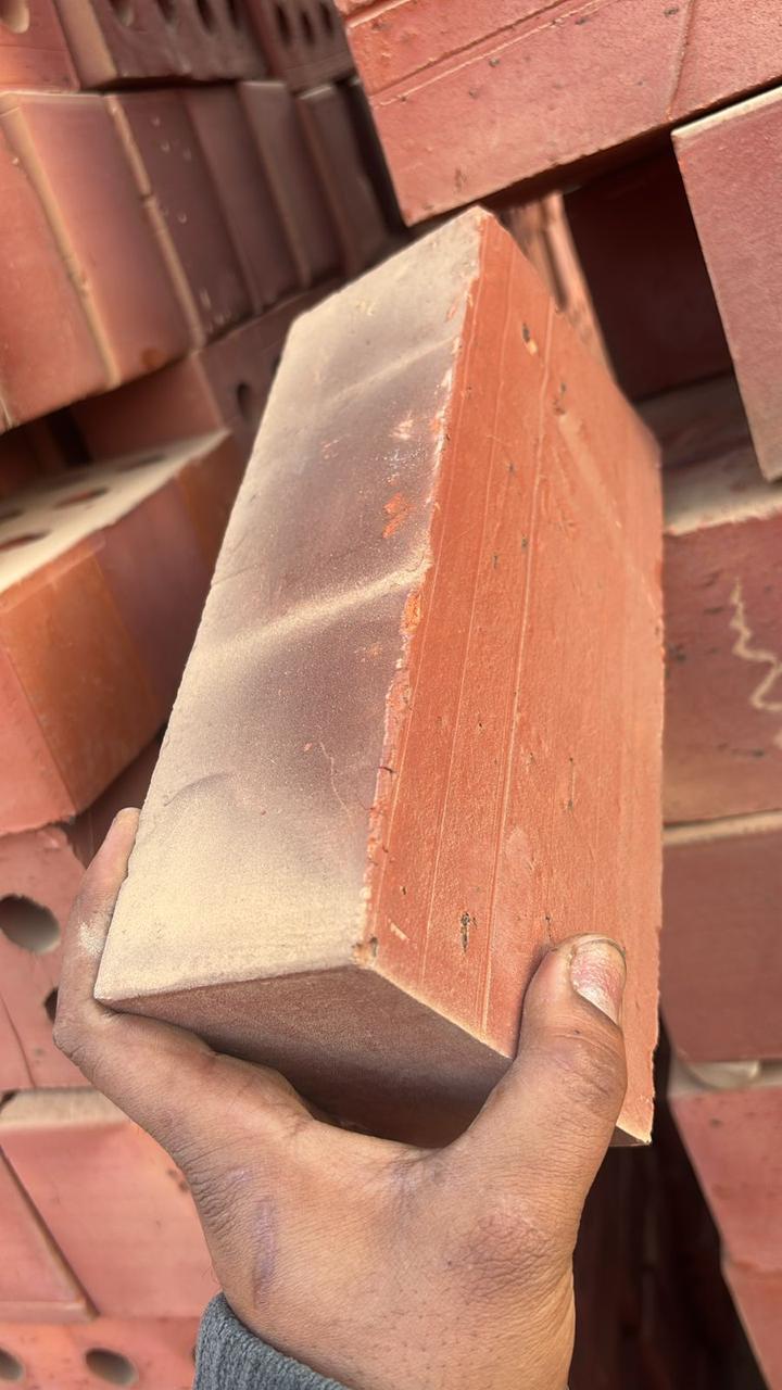 Solid Exposed Wire Cut Bricks Two-Tone