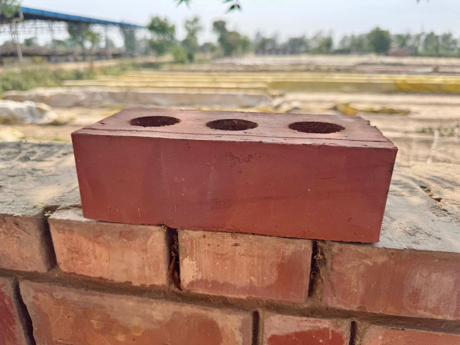 Clay Terracotta Tiles Are Experiencing a Renaissance